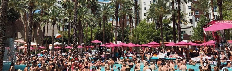 Flamingo-Beach Club Pool - All You Need to Know BEFORE You Go