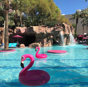 Beach Club Pool at Flamingo - Las Vegas: Get the Detail of Beach